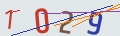verifycode